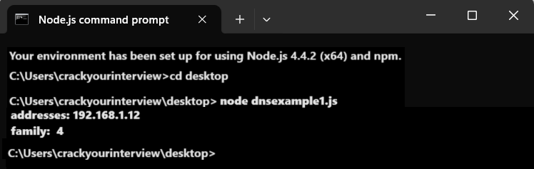 Node.js DNS IP