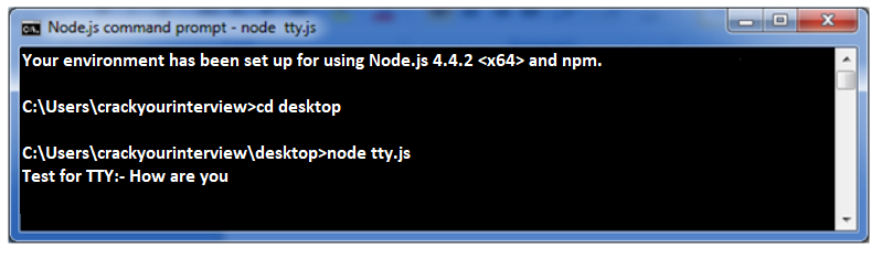 Node.js TTY Sample