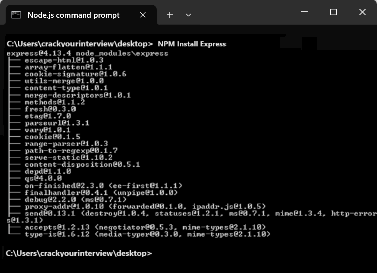 NPM Install Express