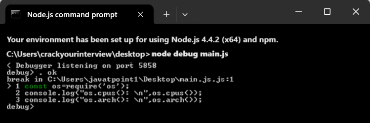 Node.js debug