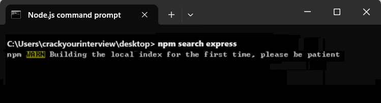 NPM Search Express