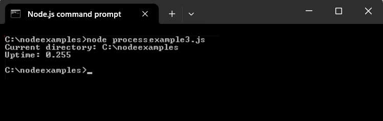 Node.js process example